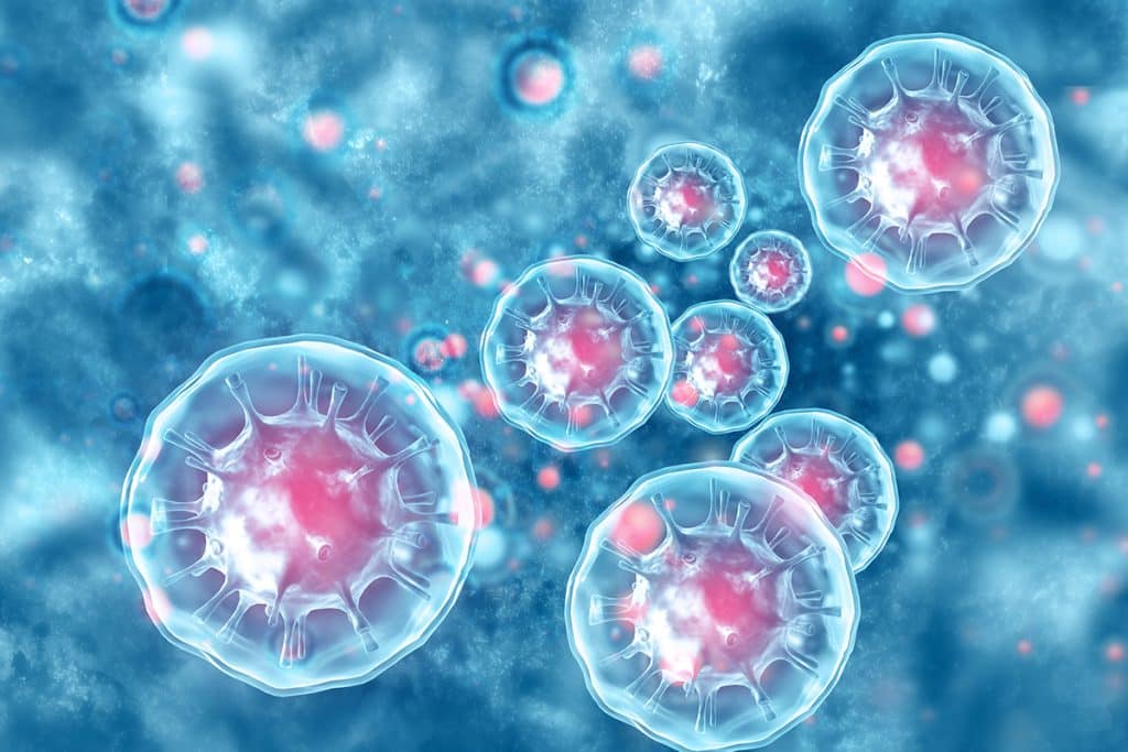 How Do Oral Surgeons Use Stem Cells?